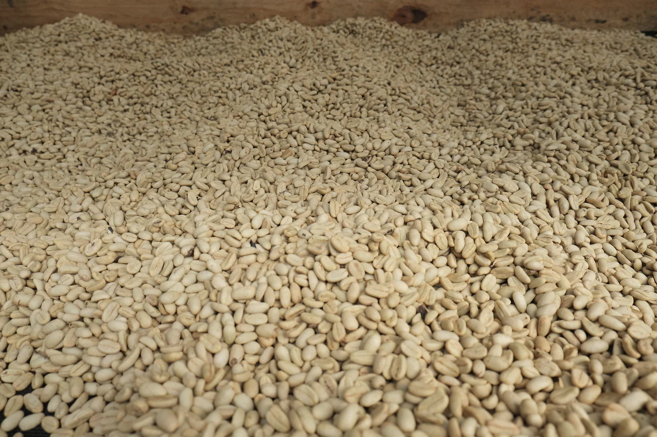 Agua Sarca. Cafe De Nicaragua - Image 5