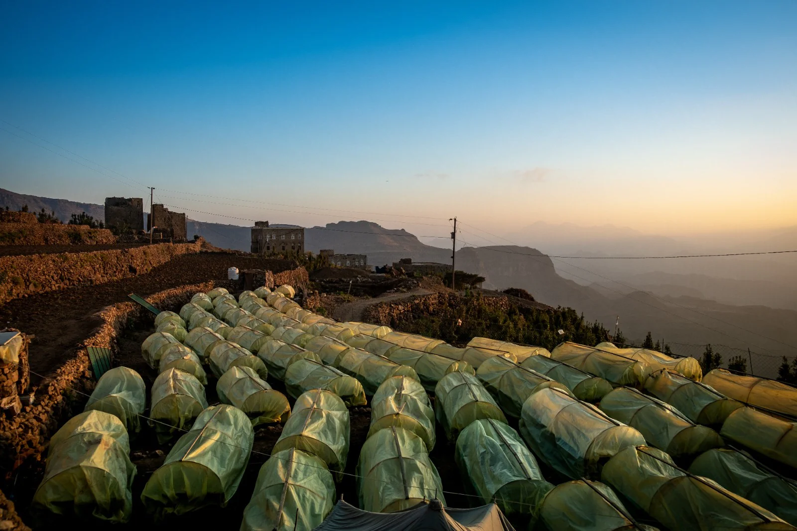 AL Subaih Special Reserve. Yemenia. Cafe de Yemen - Image 6