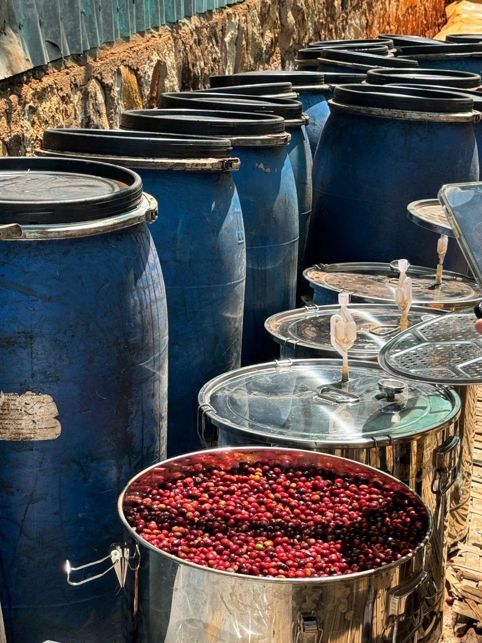 Banko Gotitti. Cafe de Etiopia - Image 2