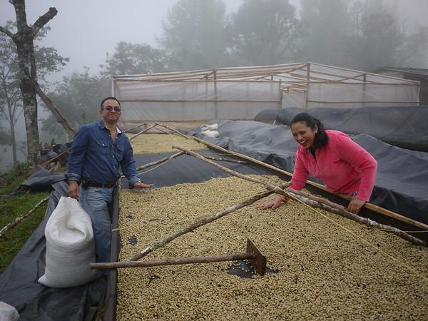 Finca Las Lomas. Café de Honduras. - Image 2