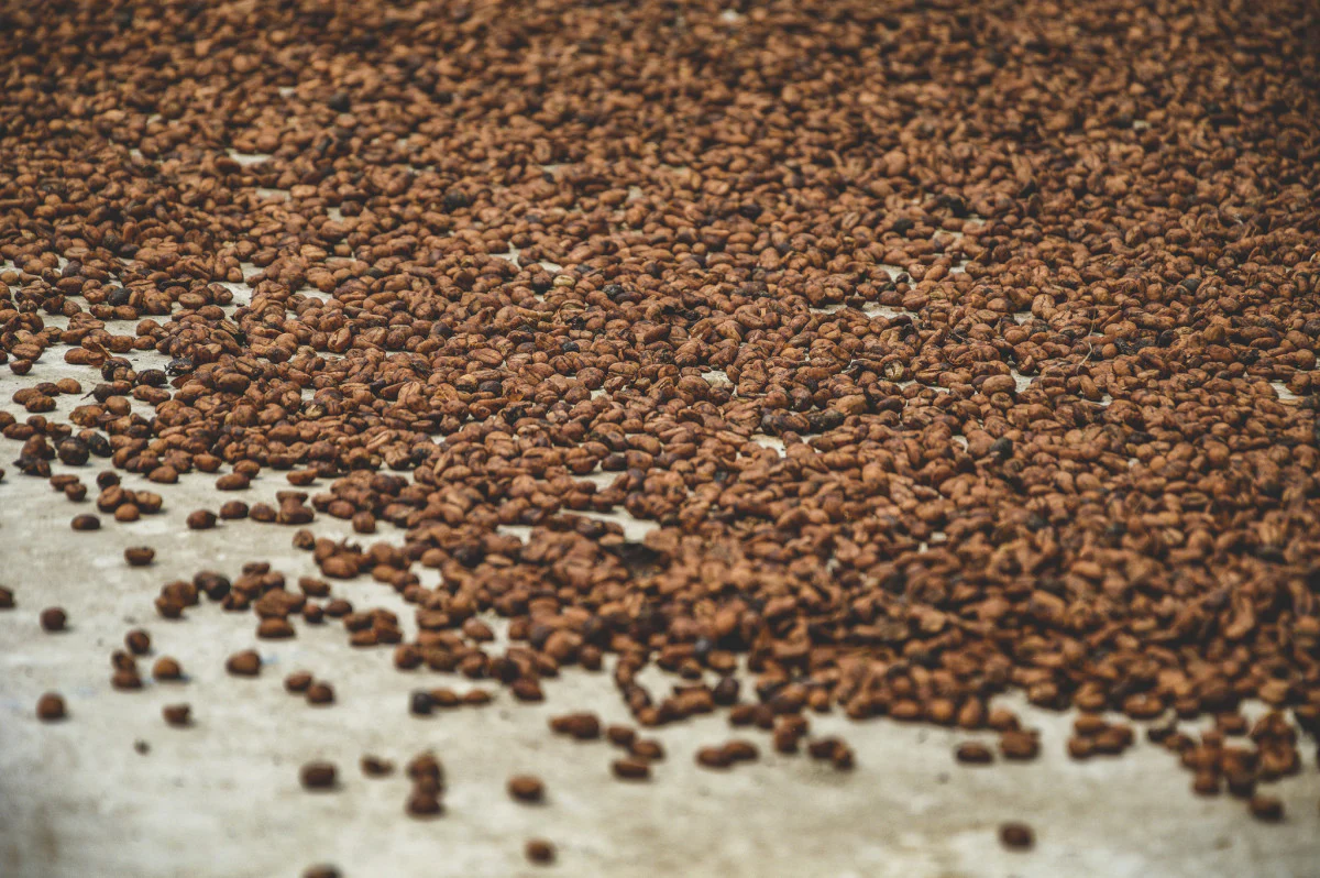 Campo Hermoso . Café de Colombia - Image 4