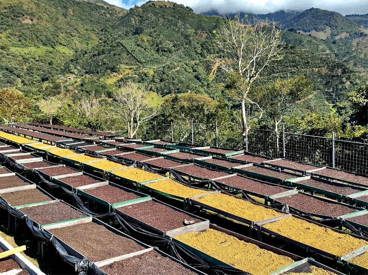 Casa de pierdra. Café De Costa Rica - Image 2