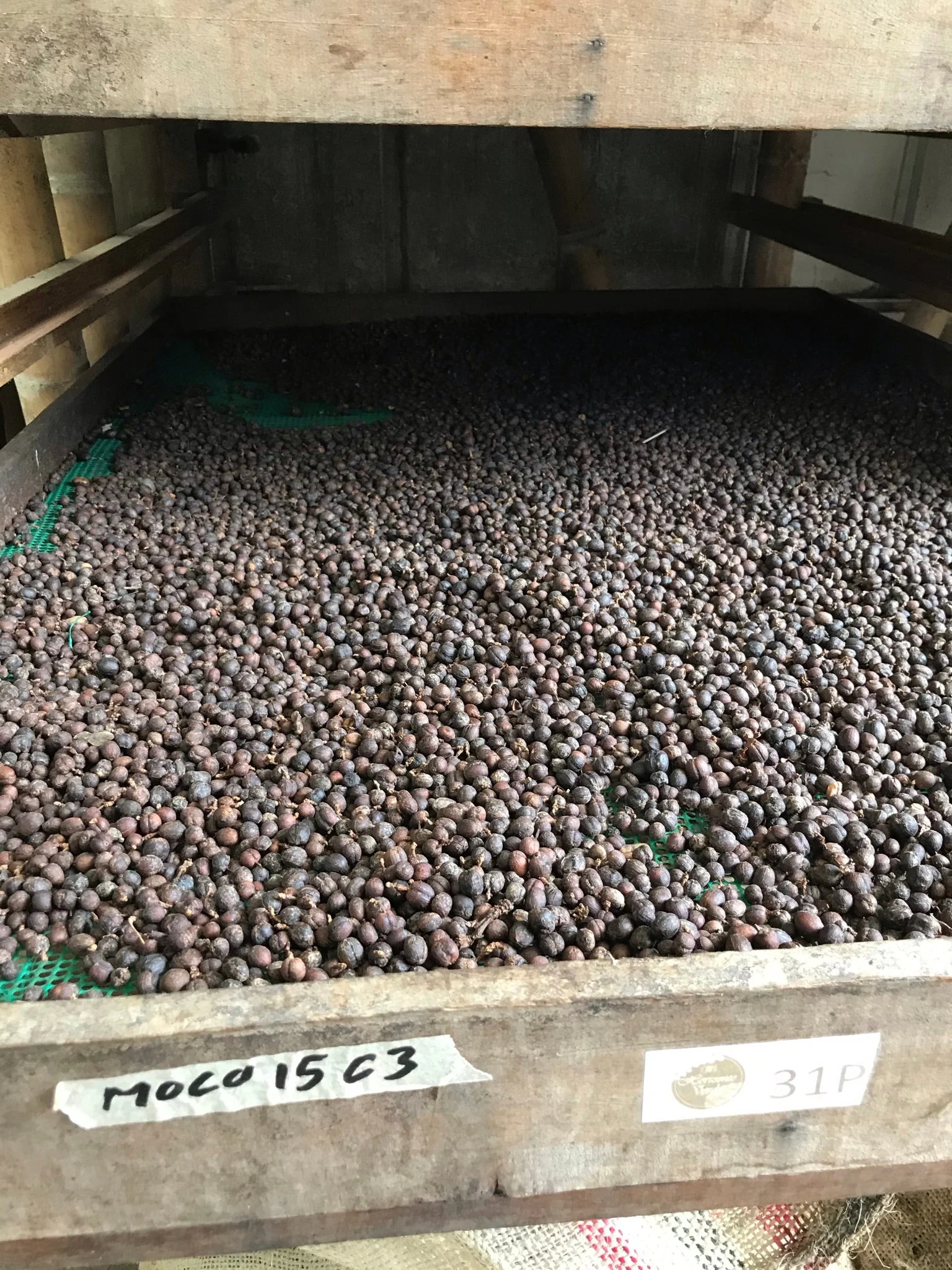 Puerto Alegre. Maceración Carbónica. Café de Colombia - Image 3