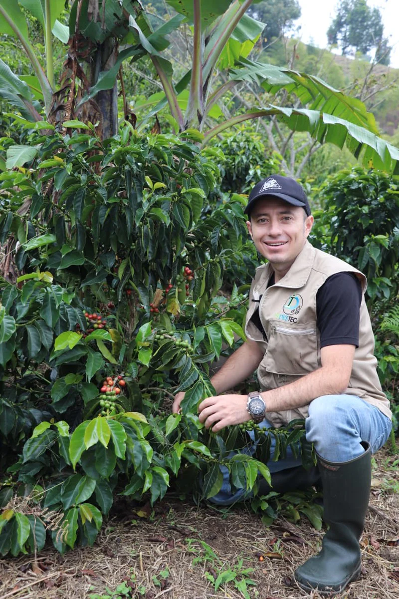 El Paraiso. Café de Colombia - Image 4