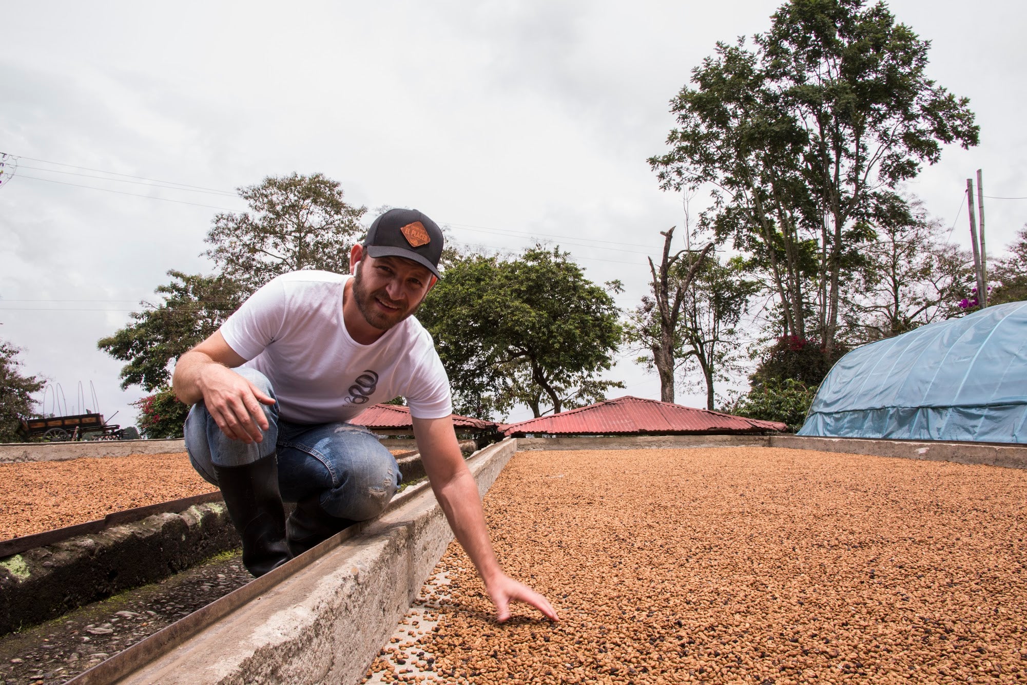 El Placer. White Geisha MC. Café de Colombia - Image 4