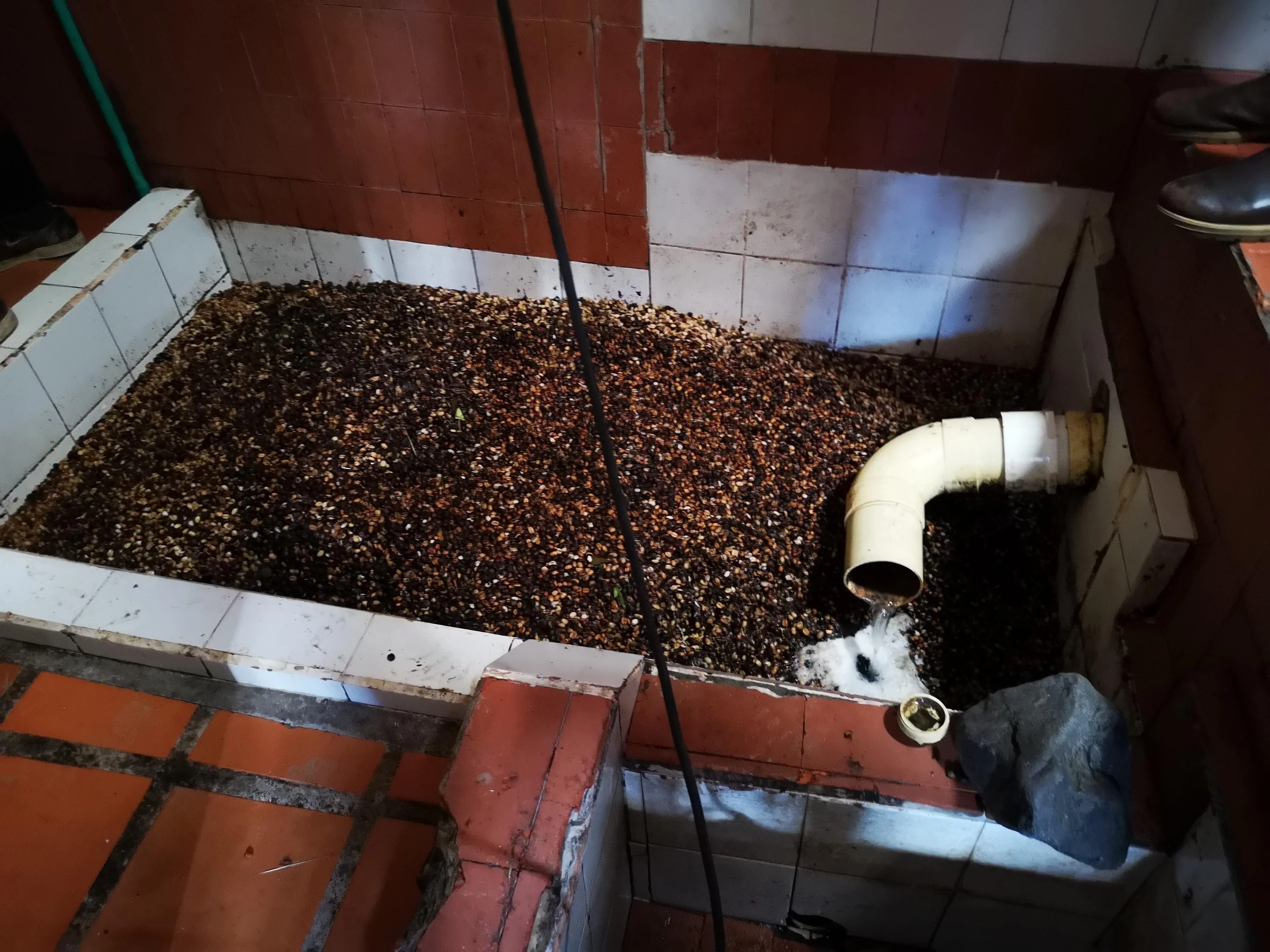 El Encanto. Extended Fermentation Natural . Café de Colombia - Image 4