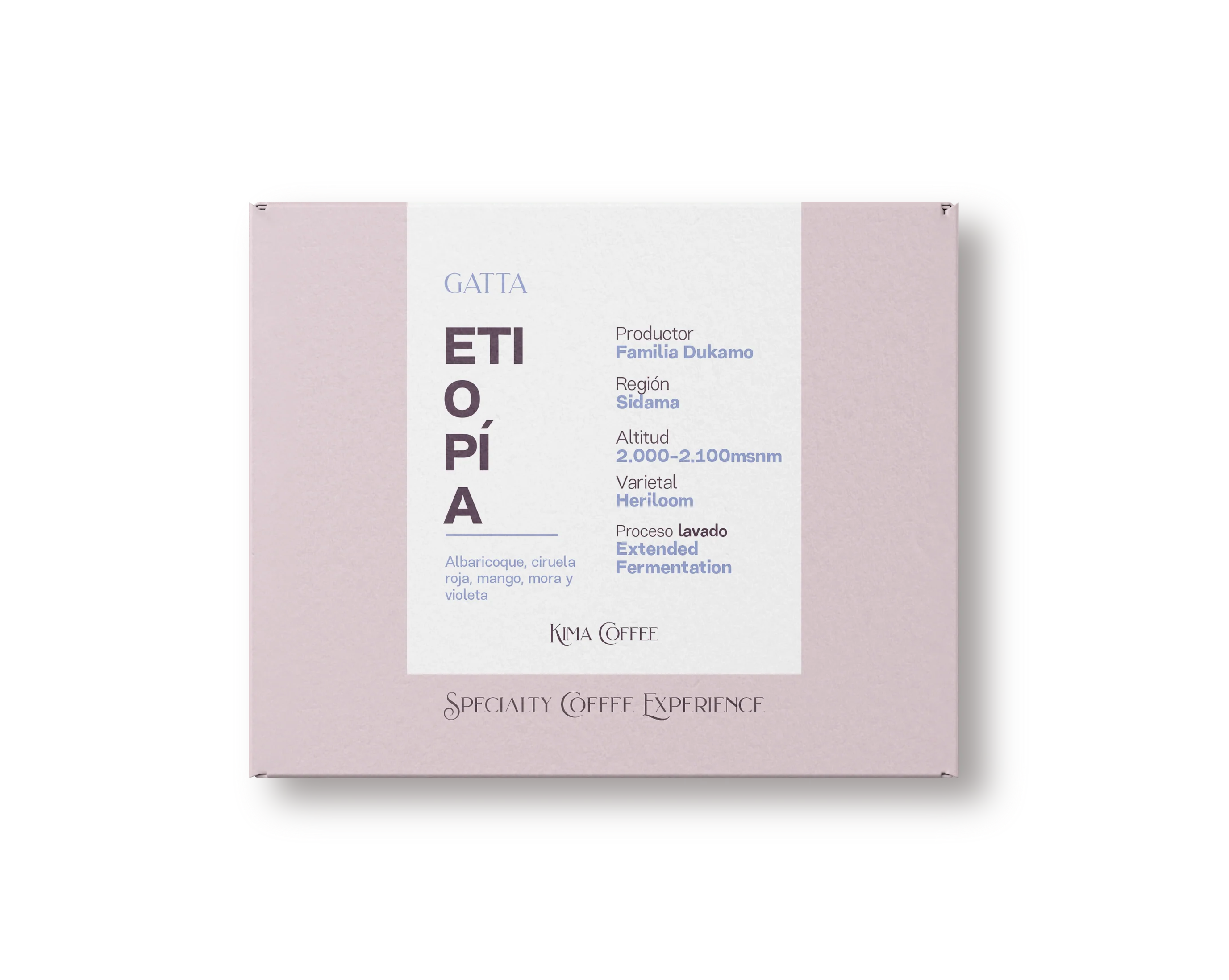Gatta. Café de Etiopía.