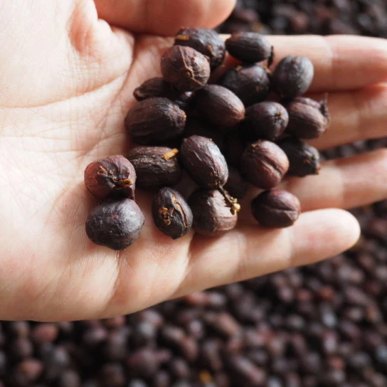 Granja La Esperanza. Geisha XO. Café de Colombia - Image 9