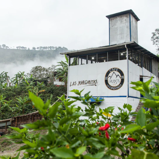 Granja La Esperanza. Sudan Rume. Café de Colombia - Image 2