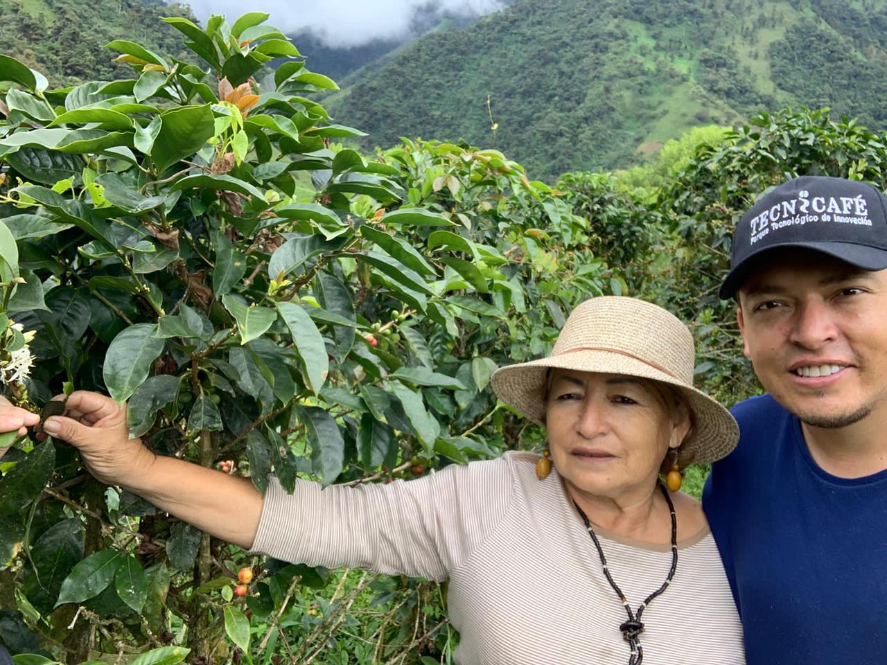 Habitat Forest . Café De Ecuador. - Image 3