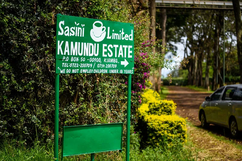 Kamundu. Café de Kenia - Image 3