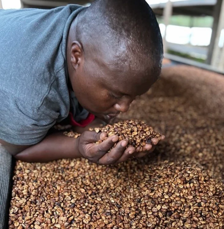 Kigoma. Café de Ruanda - Image 4