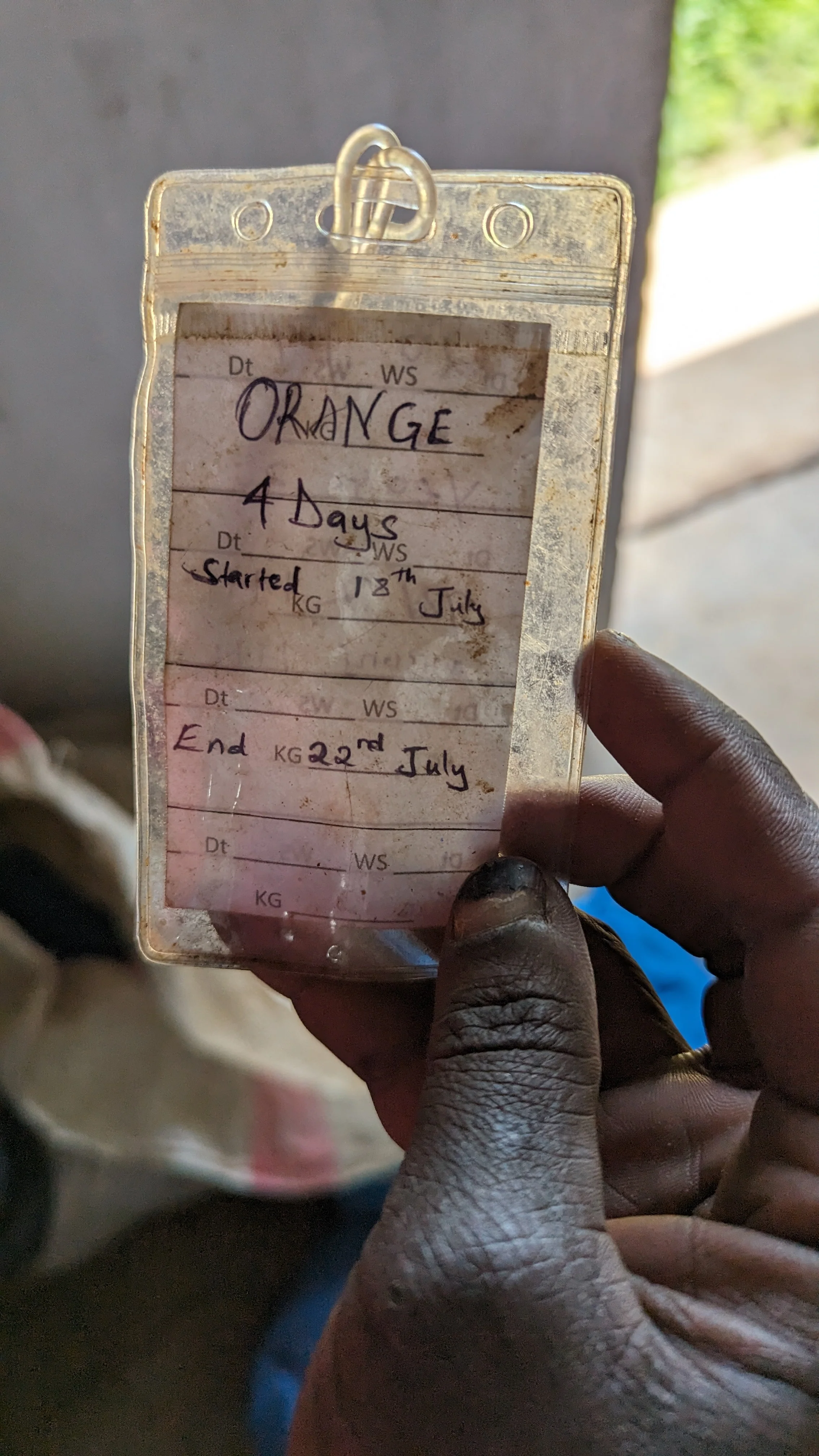 Kuria Orange. Cafe de kenia - Image 3
