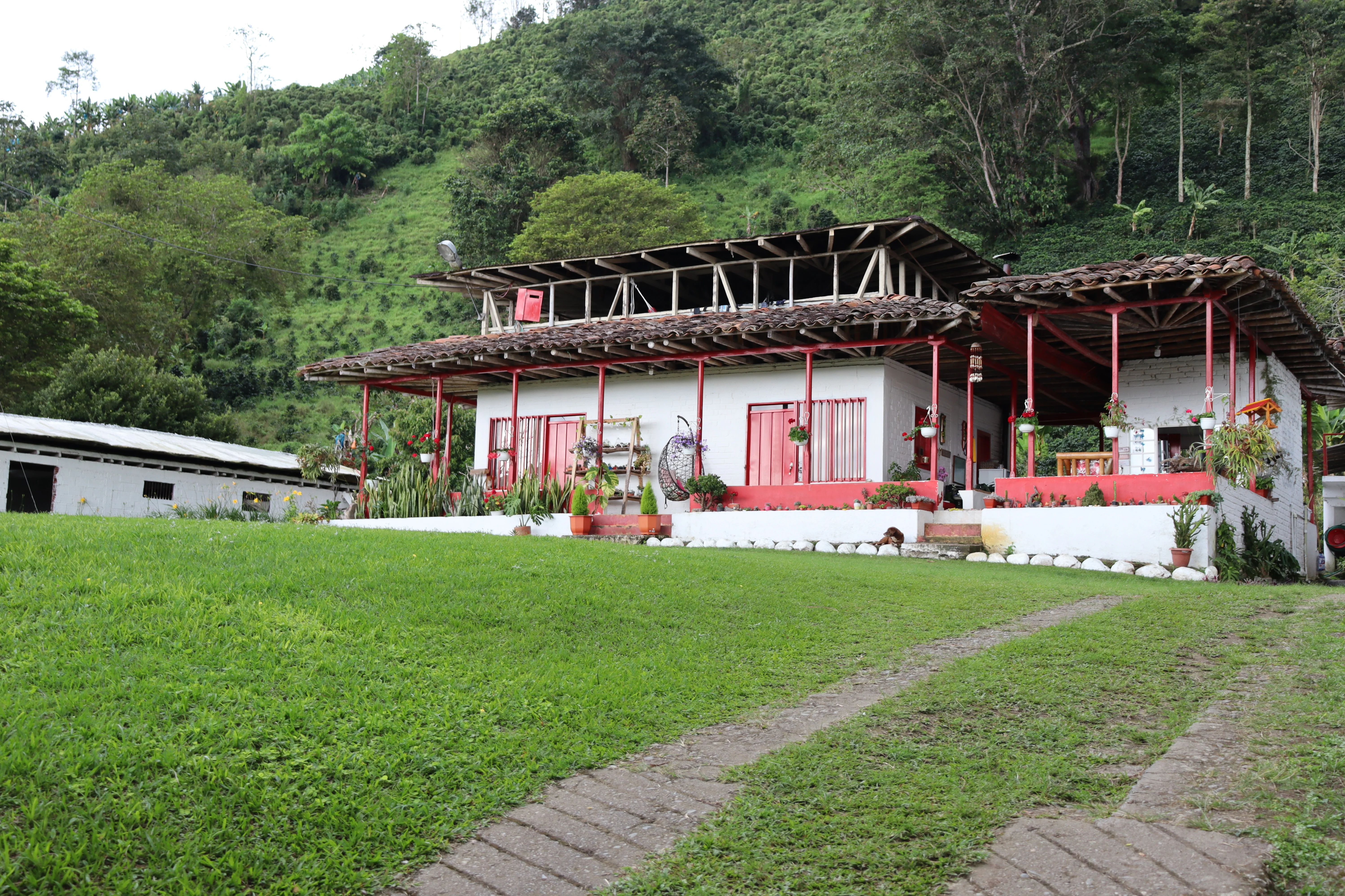 La Divisa . Café de Colombia - Image 2
