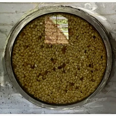 La Luisa. Kiwi infused fermentación, Anaerobic Honey. Café de Colombia - Image 4