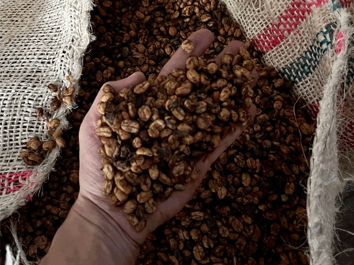 La Luisa. Kiwi infused fermentación, Anaerobic Honey. Café de Colombia - Image 5
