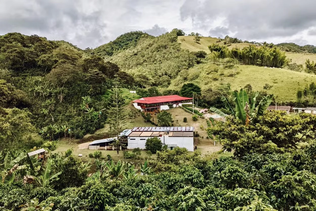 La Mina. Café de Colombia - Image 2
