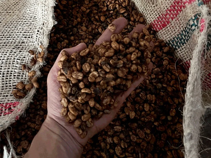 La Sirena . Peach infused fermentación, Anaerobic Honey. Café de Colombia - Image 5