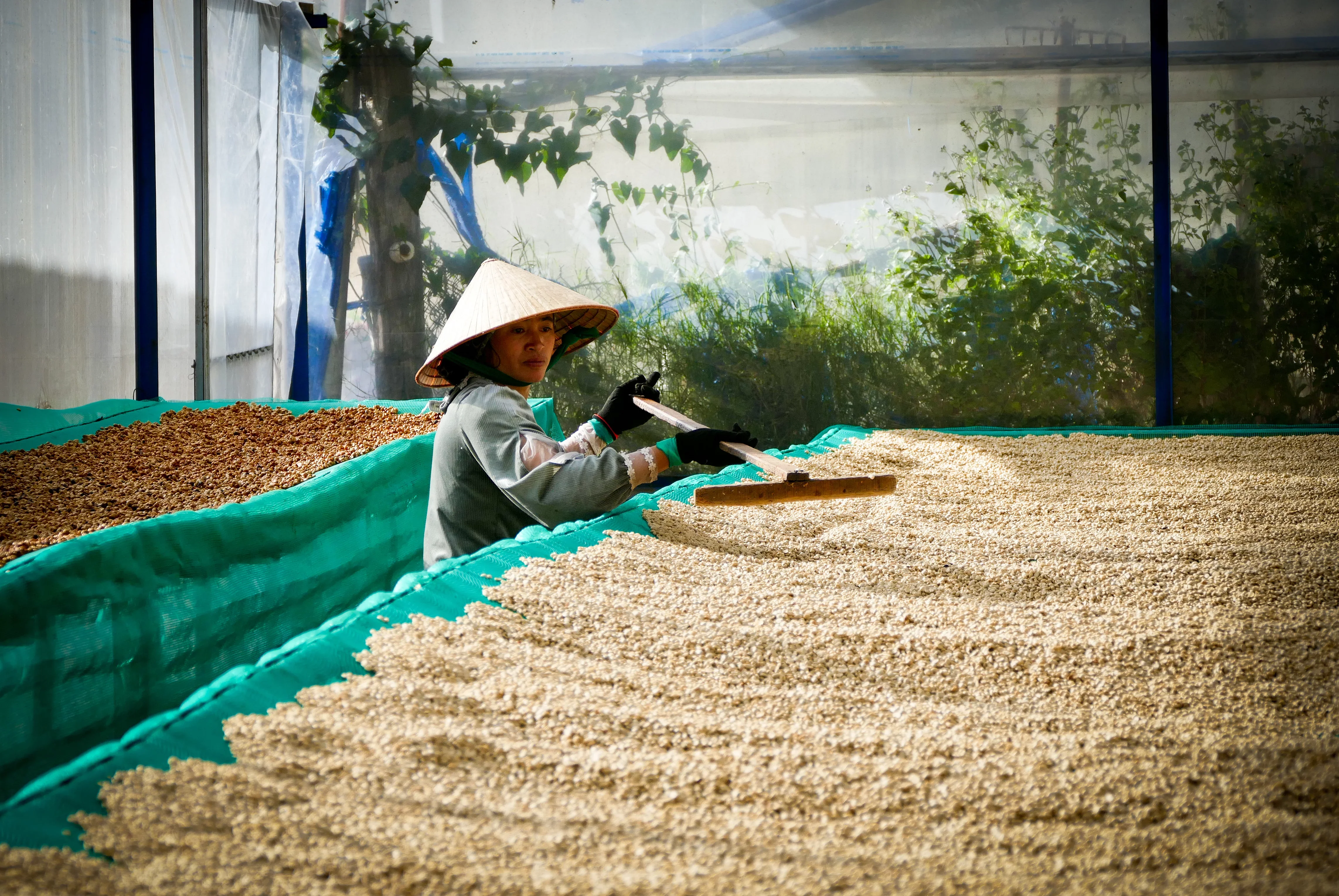 Lang Biang. Café de Vietnam - Image 2
