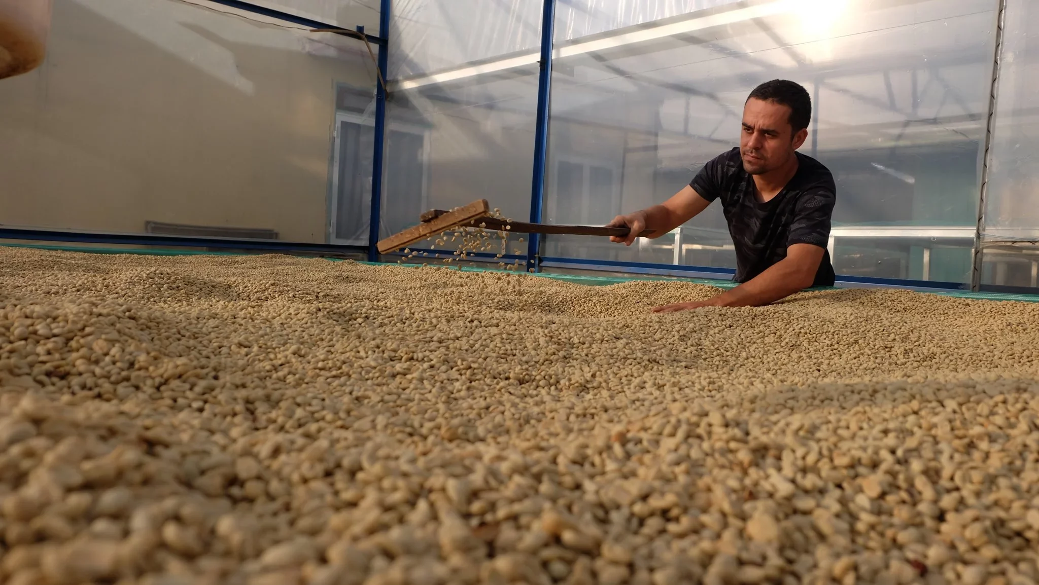 Lang Biang. Café de Vietnam - Image 3