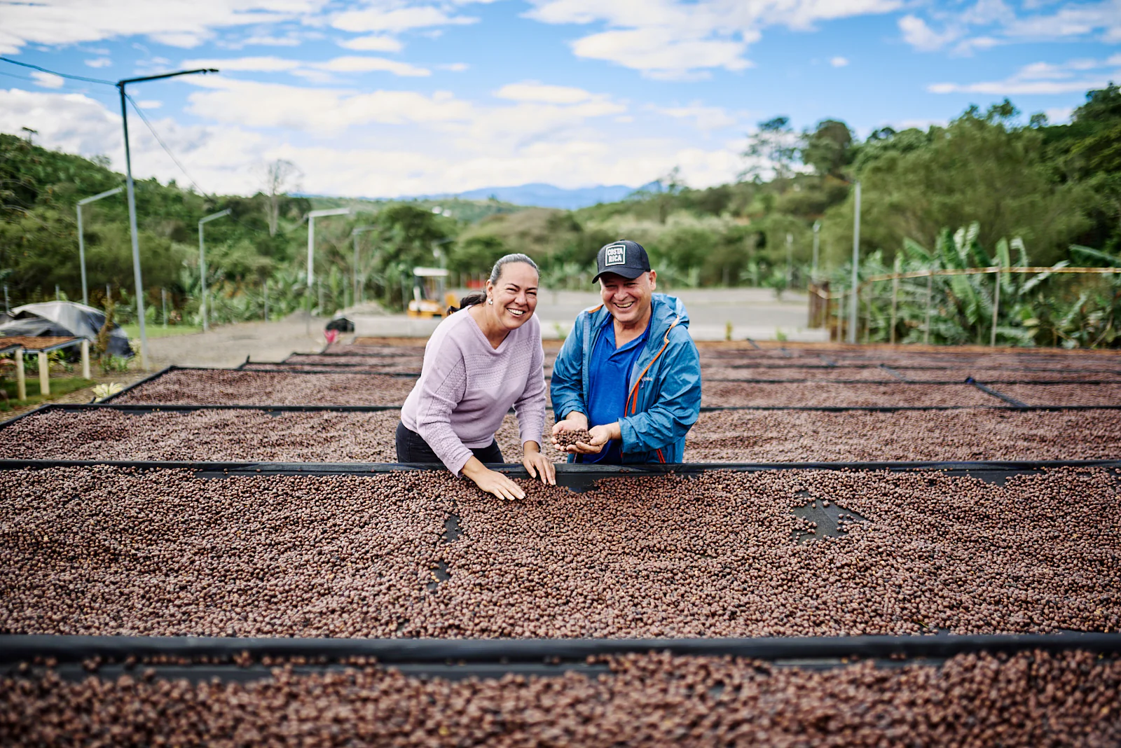 Las Lajas. Café de Costa Rica - Image 4