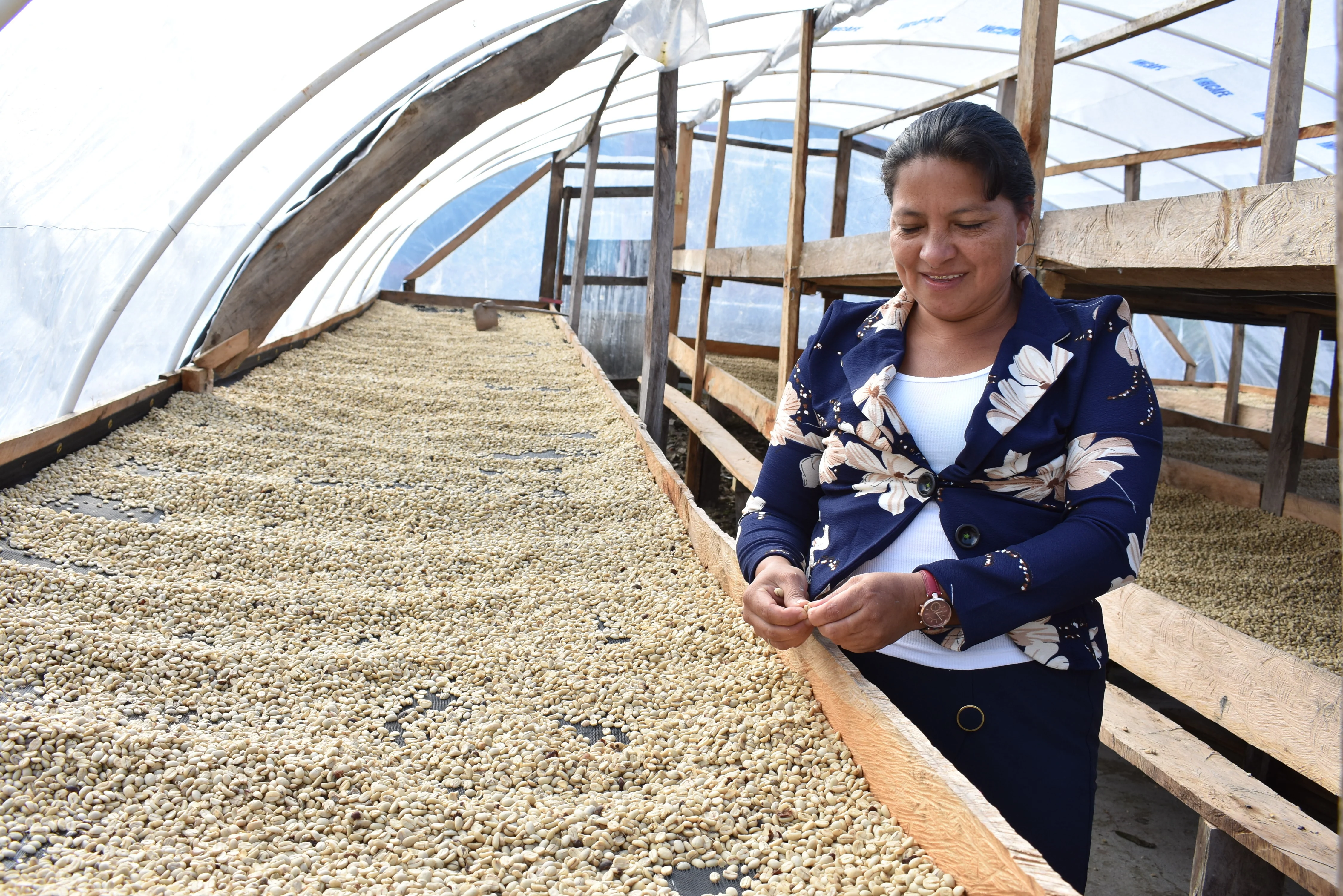 Las Manzanas. Cafe De Honduras - Image 3