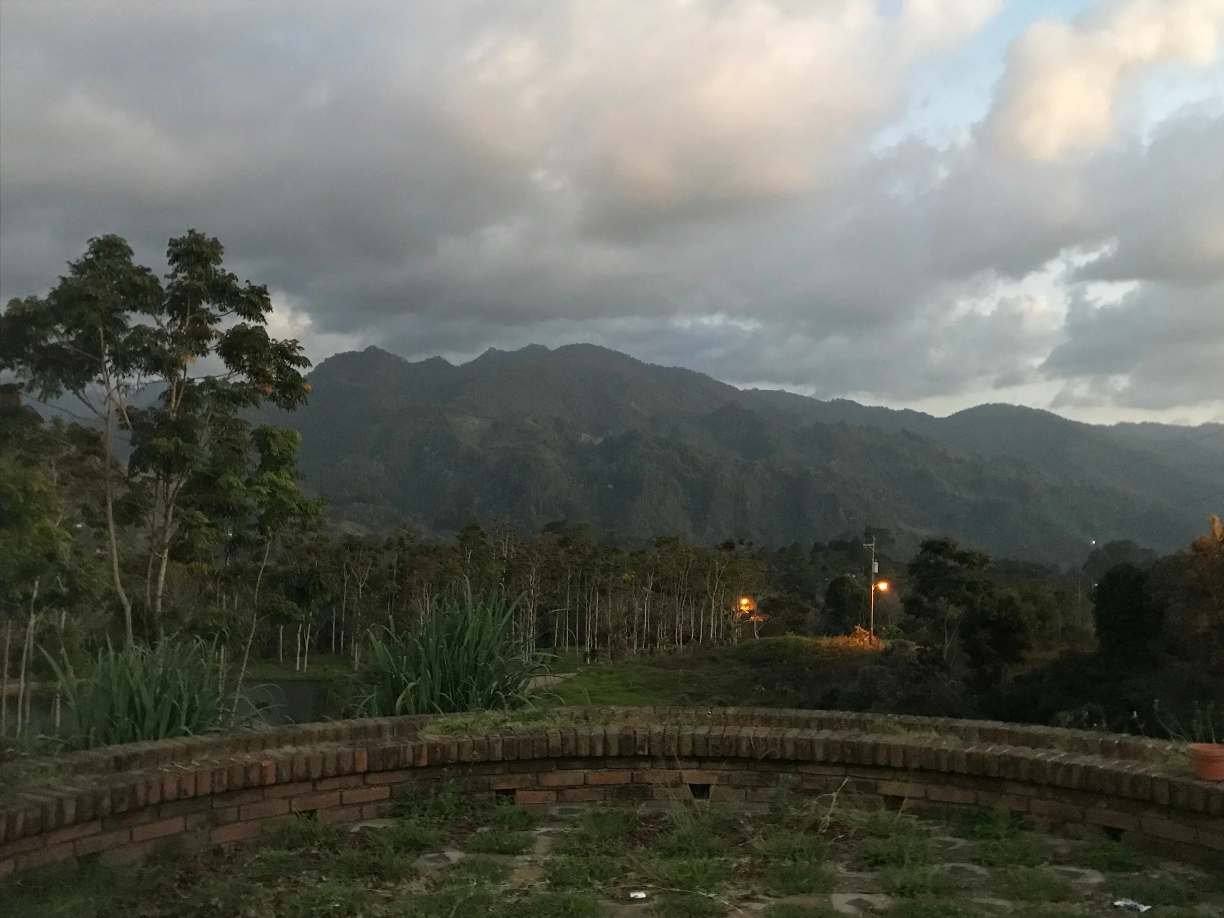 Lenca descafeinado . Café de Honduras. - Image 3