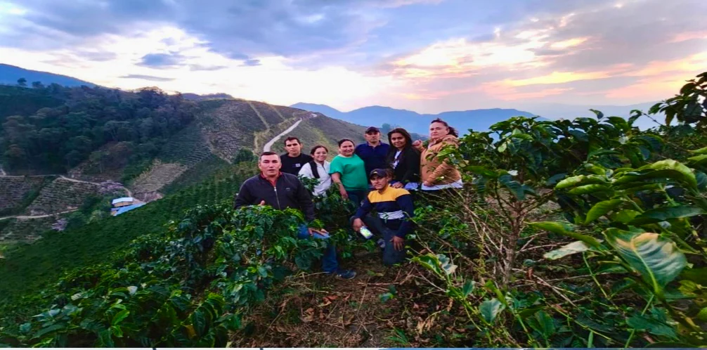 Miramar. Café de Colombia - Image 3