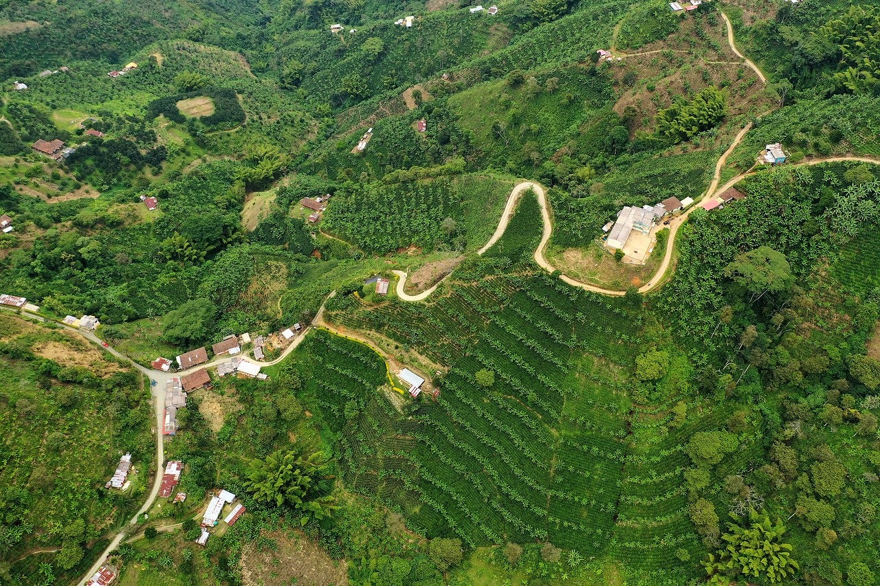 Portugal. Café de Colombia - Image 2