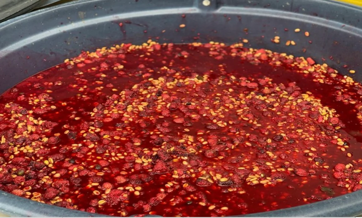 Red Fruits. Café de Colombia - Image 3