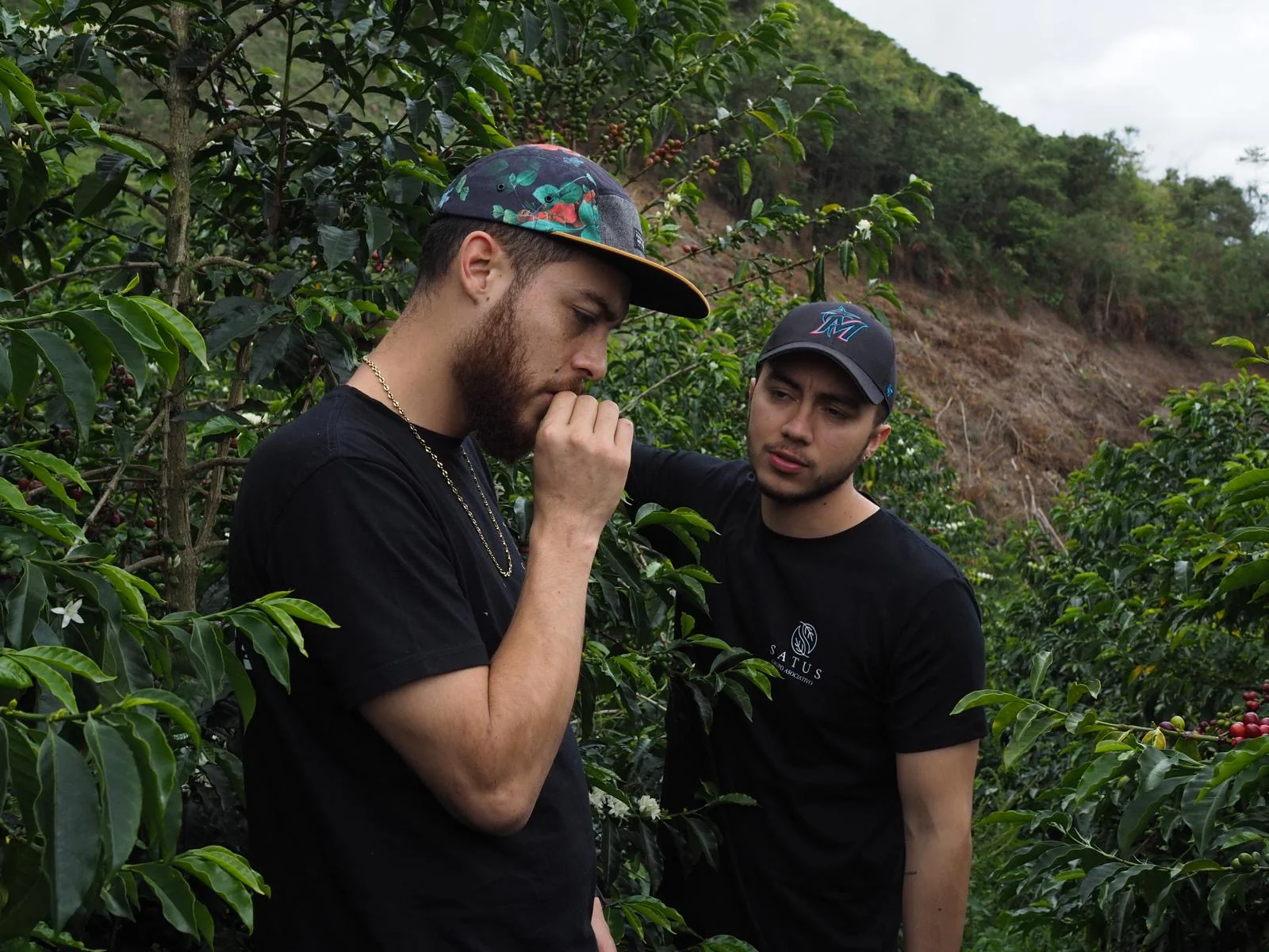 Serenity . Café de Colombia - Image 3
