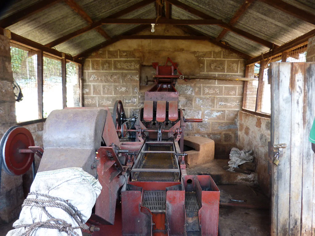 Tano Ndogo. Café de Kenia - Image 4