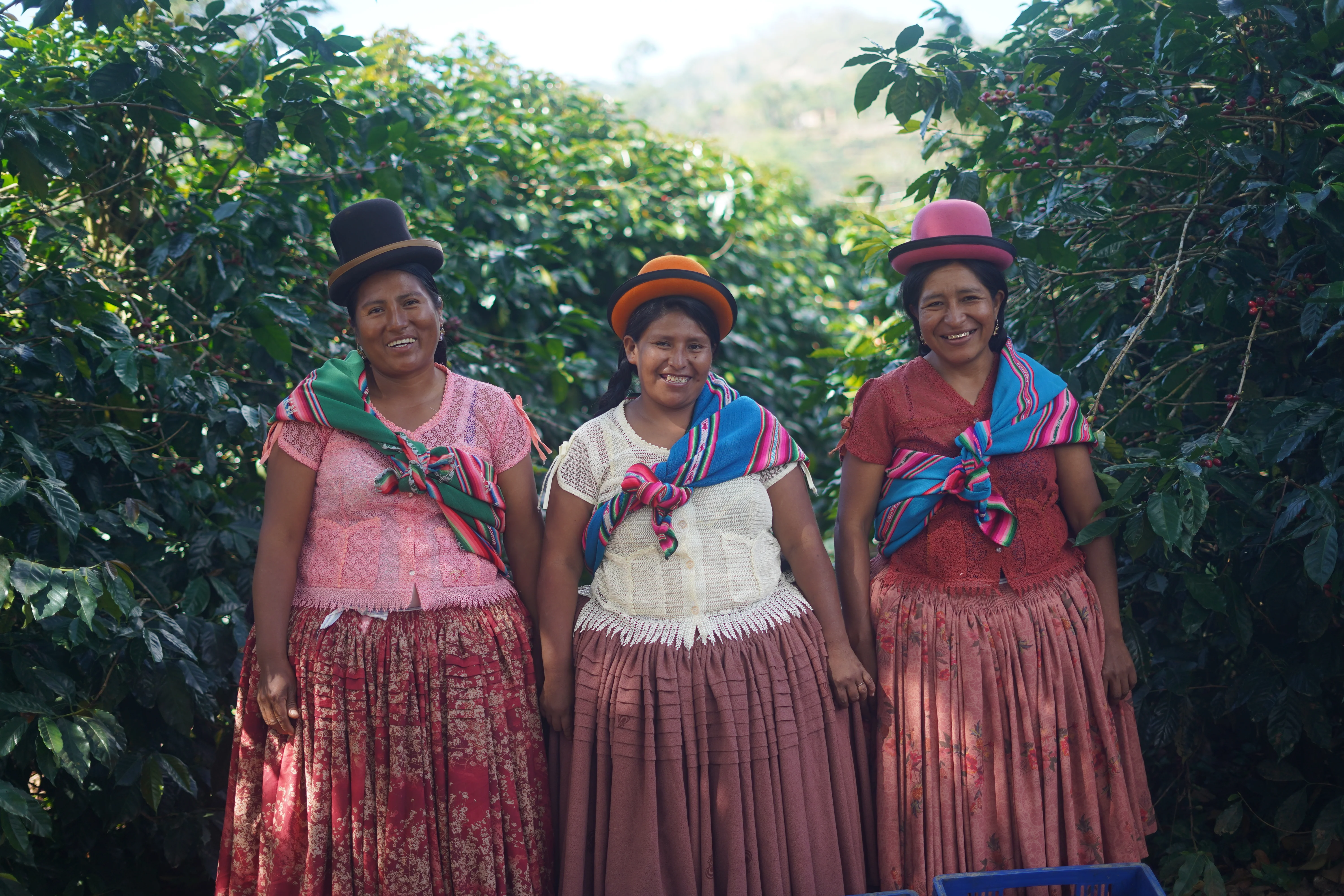 Villa Rosario . Café De Bolivia - Image 4