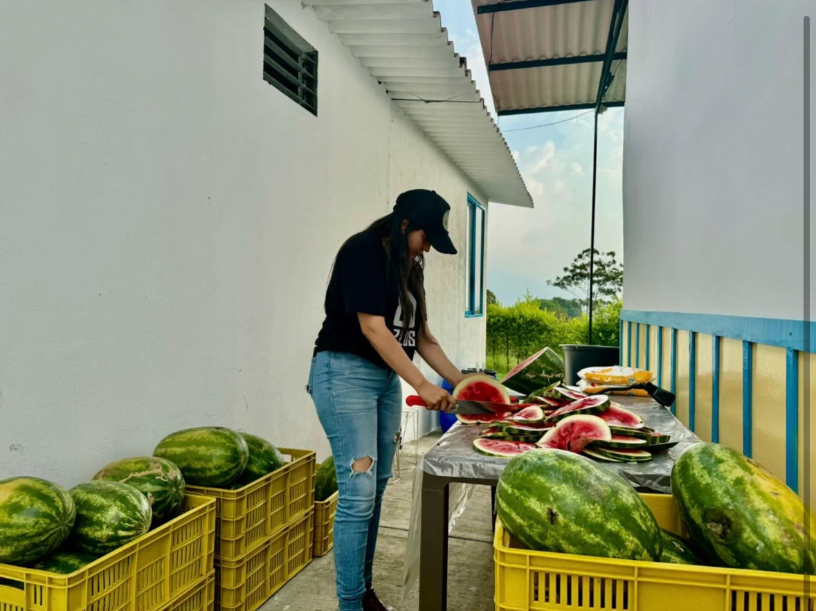 Watermelon. Café de Colombia - Image 3