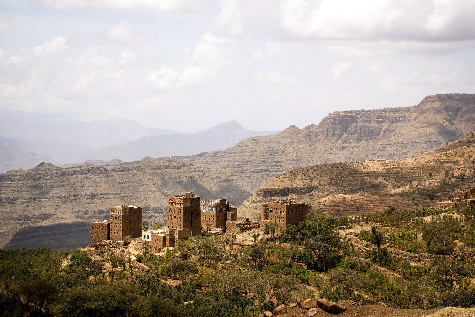 Yemenia. El descubrimiento de café del siglo - Image 3